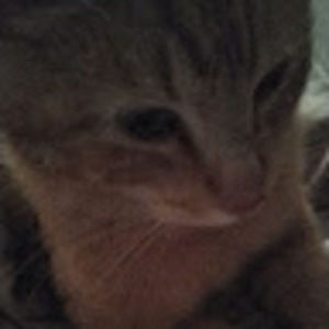 Meet your Posher, Cora